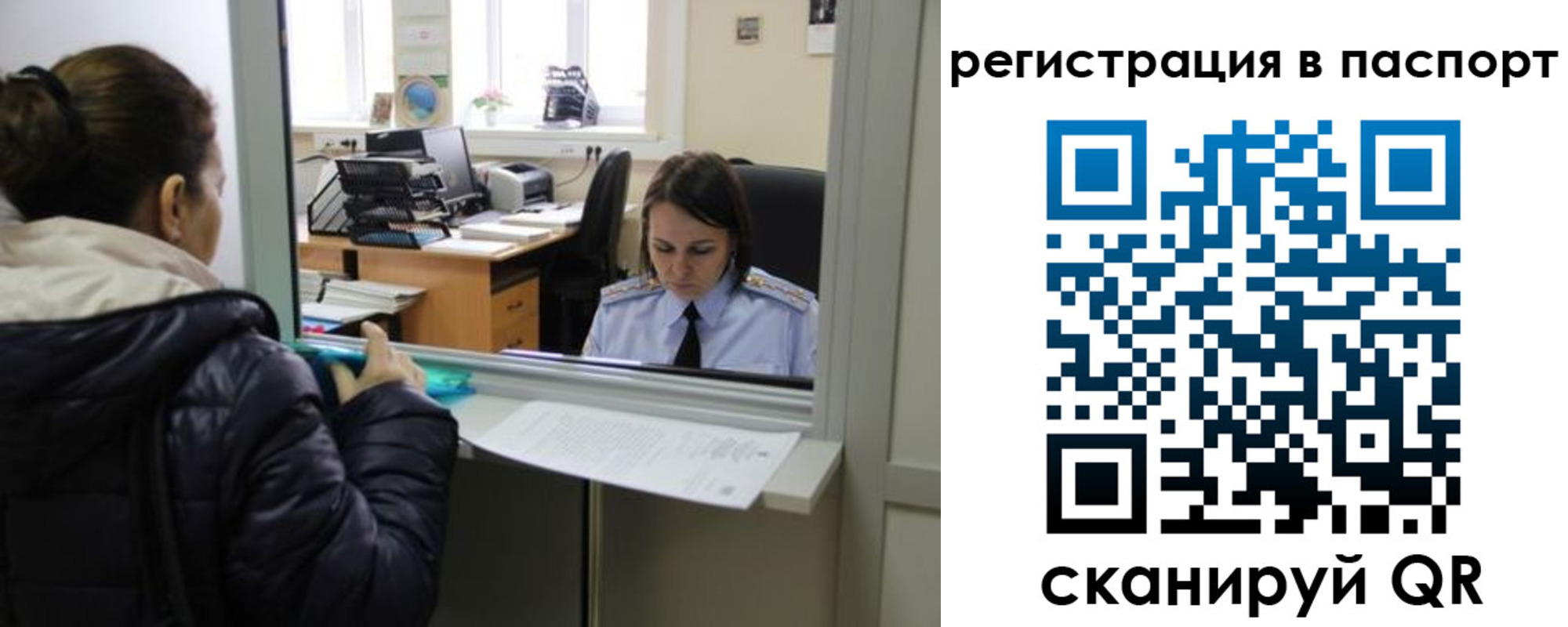 временная регистрация поиск в Мурманской области